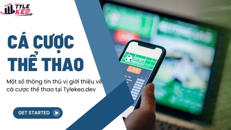 Cá Cược Thể Thao Trực Tuyến 1 Một số thông tin thú vị giới thiệu về cá cược thể thao tại fensterblick.io